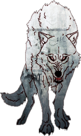 DlaPar - Hungry Wolf