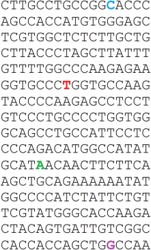 Kubek DNA