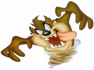 Taz2