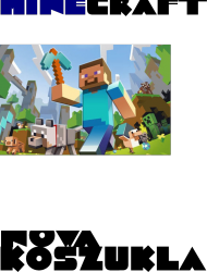 koszulka z minecrafta