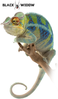 Kameleon M