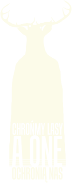 Chrońmy lasy, a one ochronią nas!
