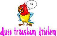dużo trzaskam dziobem
