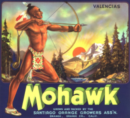 Mohawk męski