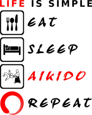 AIKIDO, LIfe is simple 2 (light)