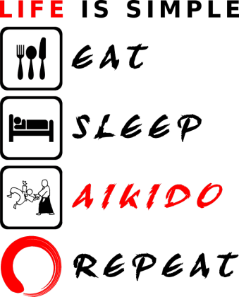 AIKIDO, LIfe is simple 2 (light)