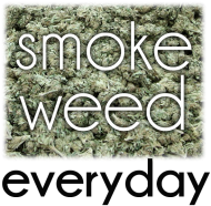 smoke weed everyday biala