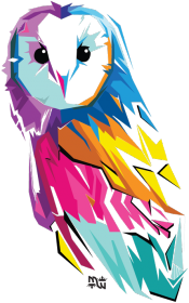 Owl - kolor