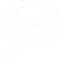 Raccoon Bubble - Koszulka