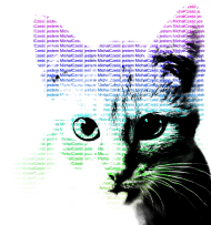 Koszulka Cat Words - Michał