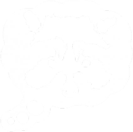 Raccoon Bubble - Koszulka