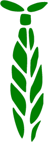Zielona