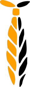 Pomarańczowo-czarna