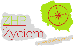 Koszulka dzieięca logo z przodu