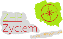Koszulka dzieięca logo typ II