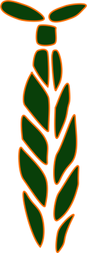 Khaki z pomarańczem