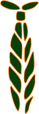 Khaki z pomarańczem
