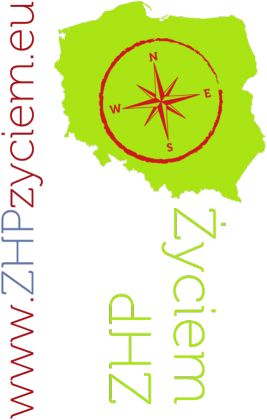 Koszulka dzieięca logo tył typ II