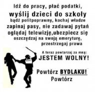 DCS Polska