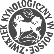 Koszulka ZKwP męska