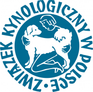 Koszulka ZKwP męska