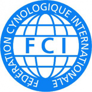 Koszulka FCI męska