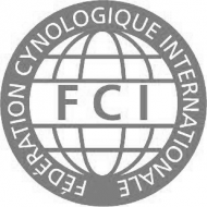 Koszulka FCI męska