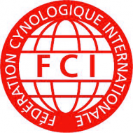 Koszulka FCI męska