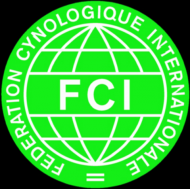 Koszulka FCI damska