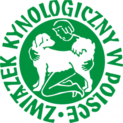 Koszulka ZKwP męska