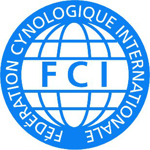 Koszulka FCI męska