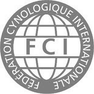 Koszulka FCI męska