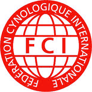 Koszulka FCI męska