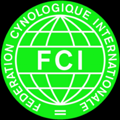 Koszulka FCI damska
