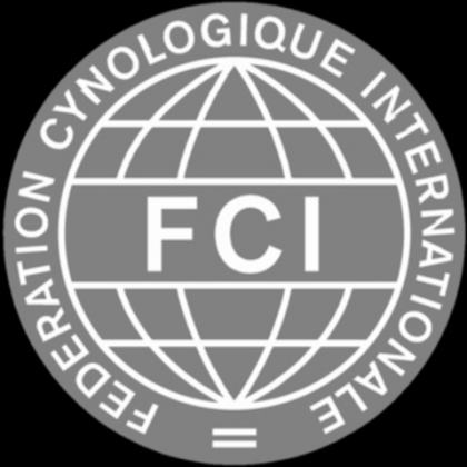Koszulka FCI damska