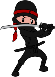 ninja