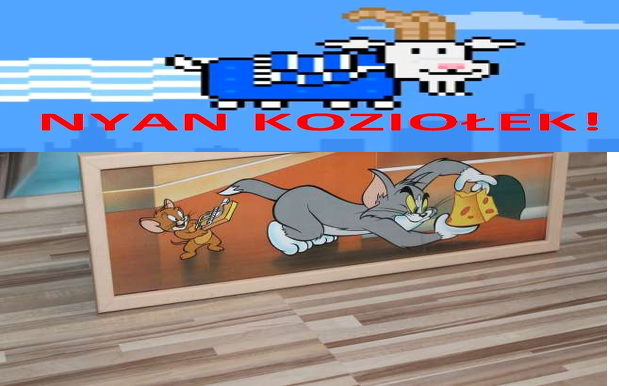 Bluza czarna (nyan koziolek i Tom i Jerry)