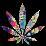 Orginal Hemp