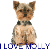 Molly for Kuba