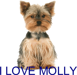 Molly for Kuba