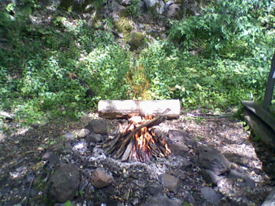 Płonie ognisko w lesie- kubek