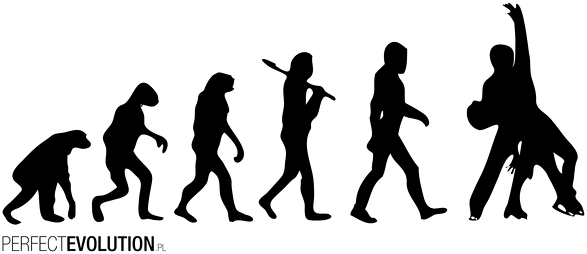 Łyżwy, łyżwiarstwo, figurowe - PerfectEvolution.pl