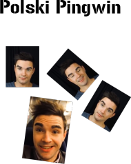 Polski Pingwin- Koszulka #1