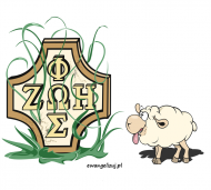 owieczka z Oazy / Oaza