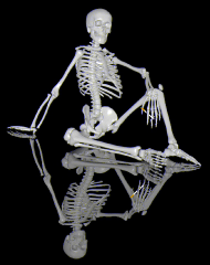 skeleton 3