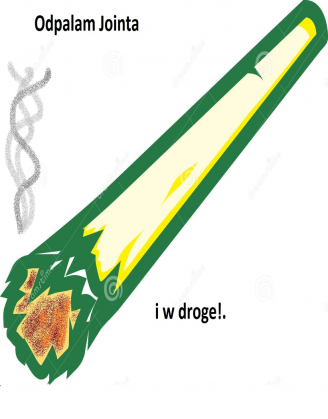 odpalam jointa i w droge blosa