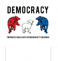 Democracy is for Idiots