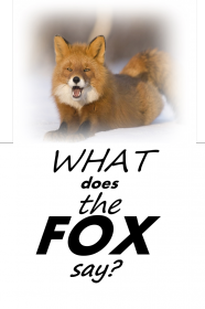 What does he fox say?