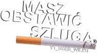 Masz Obstawić Szluga bluza2