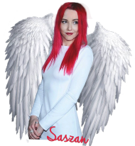 Saszan anioł bluza damska